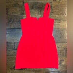 Very cute spicy cocktail dress! Size large.